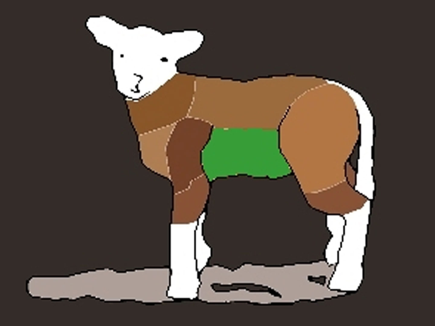 Lammbauch Lammbauch