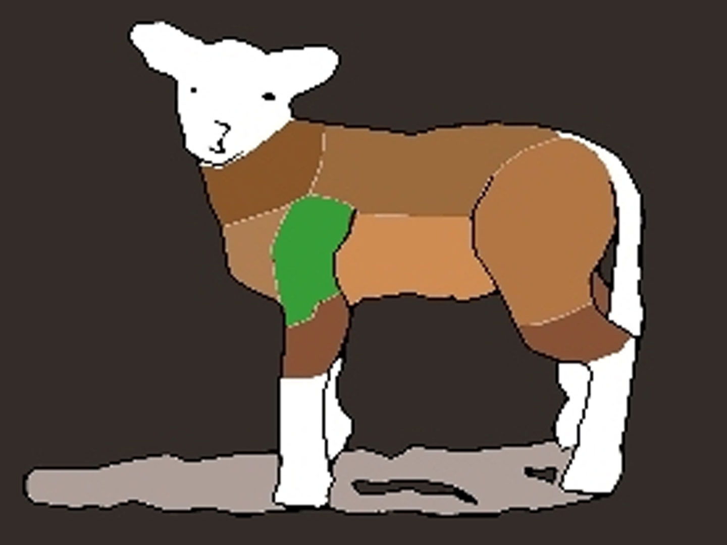 Lammschulter Lammschulter